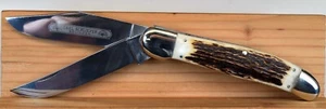 RARE VINTAGE CARL SCHLIEPER FAN BRAND LARGE STAG FOLDING HUNTER KNIFE LATE 60's - Picture 1 of 17