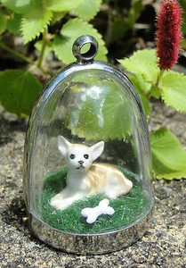 Chihuahua en reposo! collar diorama perrito cachorro cachorro funky lindo - Imagen 1 de 2