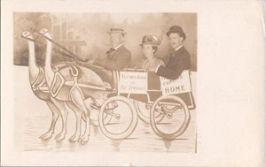 RPPC Studio Photo Hot Springs Arkansas Ostrich Wagon Cut Out 1910s - Picture 1 of 2