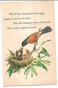 ROBIN Babies In NEST Groceries Prudential Insurance Co Advertisement Postcard DB - Picture 1 of 2