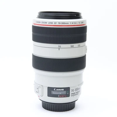 Canon EF 70-300mm F/4-5.6L IS USM (Canon EF mount) #186 - image 1 of 4