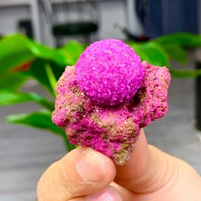 34G Indian Dandelion Zeolite Quartz Crystal Cluster Mineral Specimen - Image 1 of 4