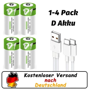 D Cell Akku lithium-ionen Battery 12.000mWh 1200x p.USB wieder aufladbar Charger - Bild 1 von 7