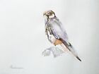 Falcon, Birds, Watercolor Artwork, Handmade, Original Painting On Paper