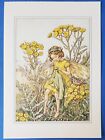 Postcard Yellow Tansy Fairy Cicely Mary Barker 6.5" X 4.75"