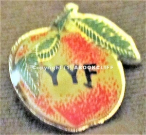 PENTICTON Regional AIRPORT (YYF) B.C. Canada Pin - Picture 1 of 4