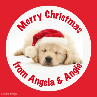 EYEDEEDESIGN Personalised Christmas Xmas Stickers Present Gift Cute Puppy Dog Seal - CH32