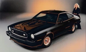 3 Ford Mustang 1978 Werk Pressefotos - Bild 1 von 3