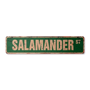 SALAMANDER Vintage Street Sign amphibians lizard Appalachian Mountains animal - Picture 1 of 4