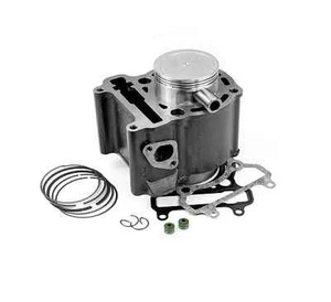 Motor Kit Thermogruppe Komplettzylinder MBK Skyliner 250 Yamaha Majesty 250 - Bild 1 von 1