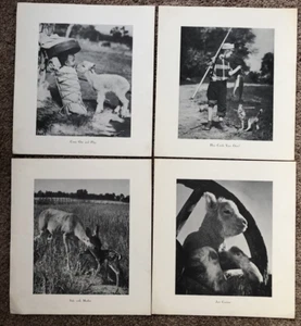Farm Country Life Black White Prints Native Cradleboard Animals Fishing - Picture 1 of 6
