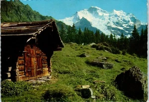 The Summit of Jungfrau, Wengen Village, Switzerland Postcard - Picture 1 of 2