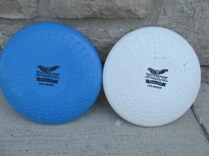 VTG 1976 Buick 40th Frisbee Fabulous Forty Lot-2 - Picture 1 of 4