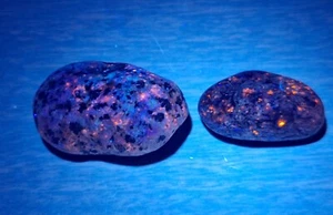 Sodalite Naturale - Pietra Emberlite UV Reattiva Fluorescente Yooperlite - Pietra Preziosa - Foto 1 di 6