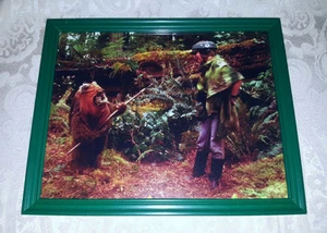 STAR WARS EWOK WITH PRINCESS LEAH RETURN OF THE JEDI COLOR 8X10 PICTURE - Picture 1 of 9