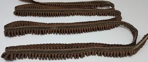 6 YDS TOSCANA 1" MARRÓN PLISADO CINTA SATINADA RIBETE TERCIOPELO BANDA CORTINAS TAPIZADO  - Imagen 1 de 6