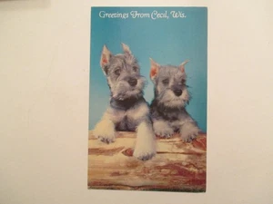 Cecil Wisconsin Postcard Scottie Dogs Dog WI - Picture 1 of 2