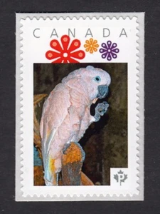 PARROT = MOLUCCAN COCKATOO =bird Picture Postage MNH Canada 2016 [p16/01-2bd4/1] - Picture 1 of 2