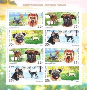 Russia 2019 Mini Sheet Toy Dogs - Picture 1 of 1