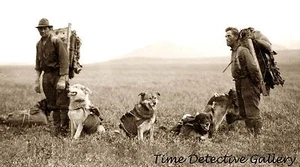Men & Dogs in Coleville District of Alaska - 1925 - Historic Photo Print - Picture 1 of 1