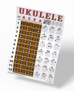 Ukulele Fretboard Chord Wall Chart Poster Chords Soprano Concert Tenor Beginner - Picture 1 of 4