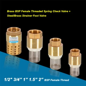 Brass BSP Female Threaded Spring Check Valve + Steel/Brass Strainer Foot Valve - Picture 1 of 15