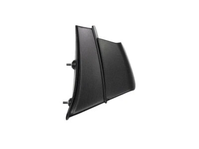 WINGLET LADO IZQUIERDO MATE CARBONO ILMBERGER PARA DUCATI PANIGALE V4 / S / R 2019-2022 Foto 1 de 4