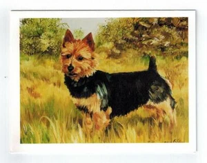 New Australian Terrier in Field Notecard Set 12 Blank Note Cards - Ruth Maystead - Picture 1 of 7