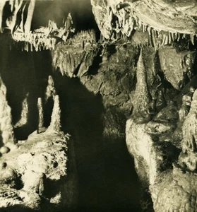 Deutschland Bayern Streitberg Binghöhle Binghöhle alt NPG Stereoview Foto 1906 #4 - Bild 1 von 3