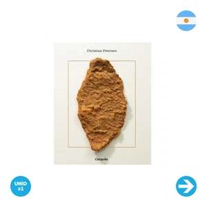 Libro - Milanesas- Christian petersen - Picture 1 of 1