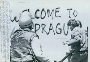 1969 Press Photo Police arrest demonstrators at People's Park in Berkeley Cal. - Picture 1 of 2