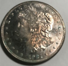 elf  Morgan Dollar   1921        sw134A