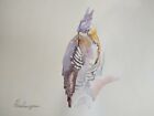 Hawk, Birds, Watercolor Artwork, Handmade, Original Painting On Paper