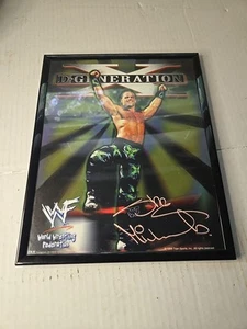 Vintage WWF WWE DX Shawn Michaels D-Generation X Framed Photo Facsimile Auto - Picture 1 of 7