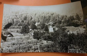 Vintage 1915 Photo Postcard of Windmill Redwoods Guerneville,Ca - Picture 1 of 3
