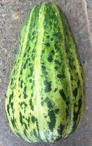 Green Striped Chinese Melon - Honey Melon - 5+ seeds - Samen - CM 042 - Picture 1 of 2
