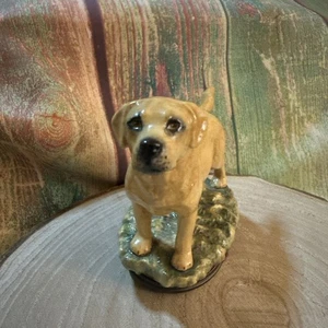 Halcyon Days Golden Retriever Enamel Trinket Box Hunting Dog (629a) - Foto 1 di 5