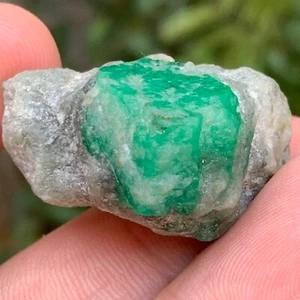 Espécimen de cristal esmeralda terminado verde vivo en matriz de esquisto | Swat Pakistán - Imagen 1 de 11