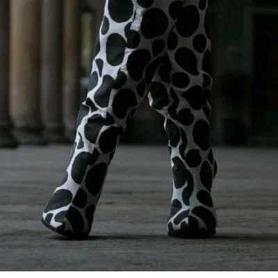 Irregular Choice"BLACK SKULL GOTH" Rare Dot Spot Leather Boots - Bnib - Image 1 of 4