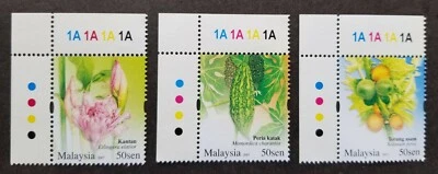 *FREE SHIP Rare Vegetables Malaysia 2007 Fruit Flower Food (stamp plate) MNH - Image 1 of 4