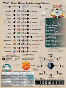2025 Moon Phases Cycles Lunar Astronomy Calendar 18 X 24 Wall Poster Eclipses - Picture 1 of 4