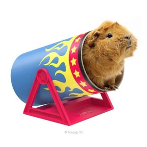 Cavy Cannonball - Tilting Tunnel by HAYPIGS!® - Picture 1 of 4