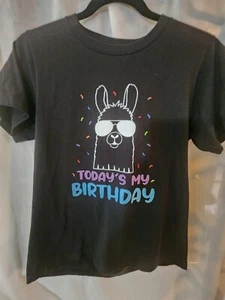 Fortnite Llama Birthday Shirt - Picture 1 of 4
