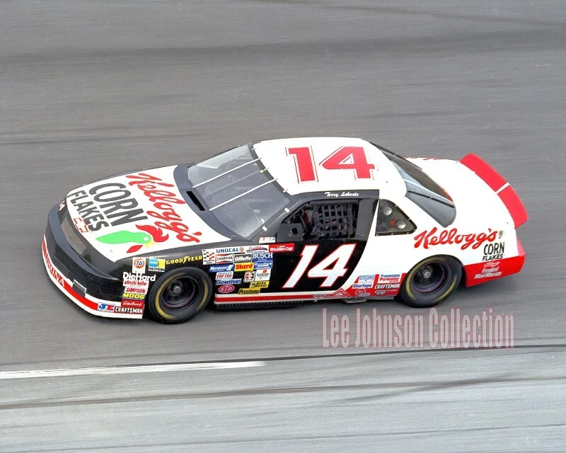 Terry Labonte Daytona 1993 - foto 4x6 - envío gratuito Foto 1 de 1