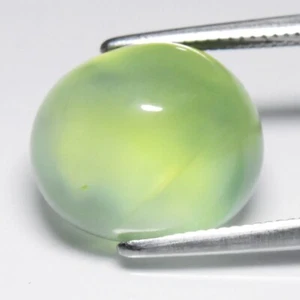 💎 Cabochon ovale 8,18 ct 12,5 x 10,5 mm prehnite verde naturale - Africa - Foto 1 di 10