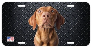 VIZSLA DOG LOOK FACE CAN PERSONALIZE NOVELTY METAL LICENSE PLATE C - Picture 1 of 4