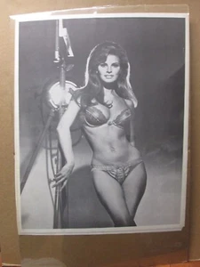 Vintage Poster Rachel Welch Hot Girl black and white 1970's Inv#300 - Picture 1 of 5