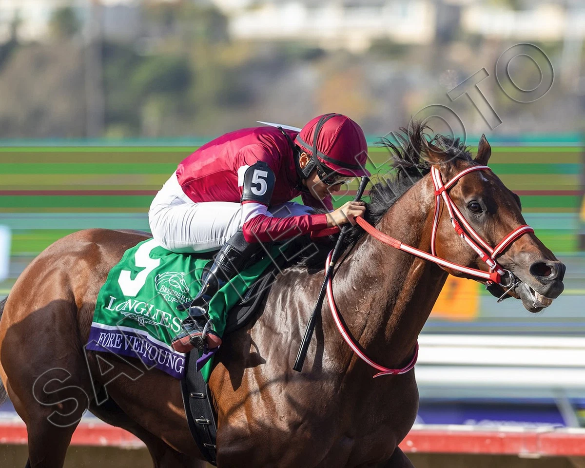 Breeders' Cup Horse Racing Fan Apparel & Souvenirs for Men for