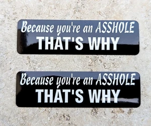 Asshole 2 Pcs.Aufkleber Decals Stickers USA Helmaufkleber Öltank - Picture 1 of 1