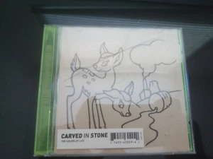 Carved In Stone ‎– The Colors Of Life - Picture 1 of 3